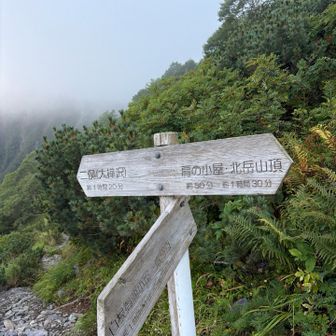 で
草滑りやん
てか
アッチもコース
あるやん
まだ時間たっぷり
あるやん
的なテイで
こっちへ