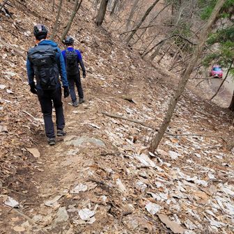 あと少しで駐車場という所で雨が降り出した☔
運がいい〜✌️
岩場登攀中の雨はホントやだもん😱
