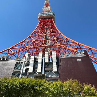 大きい