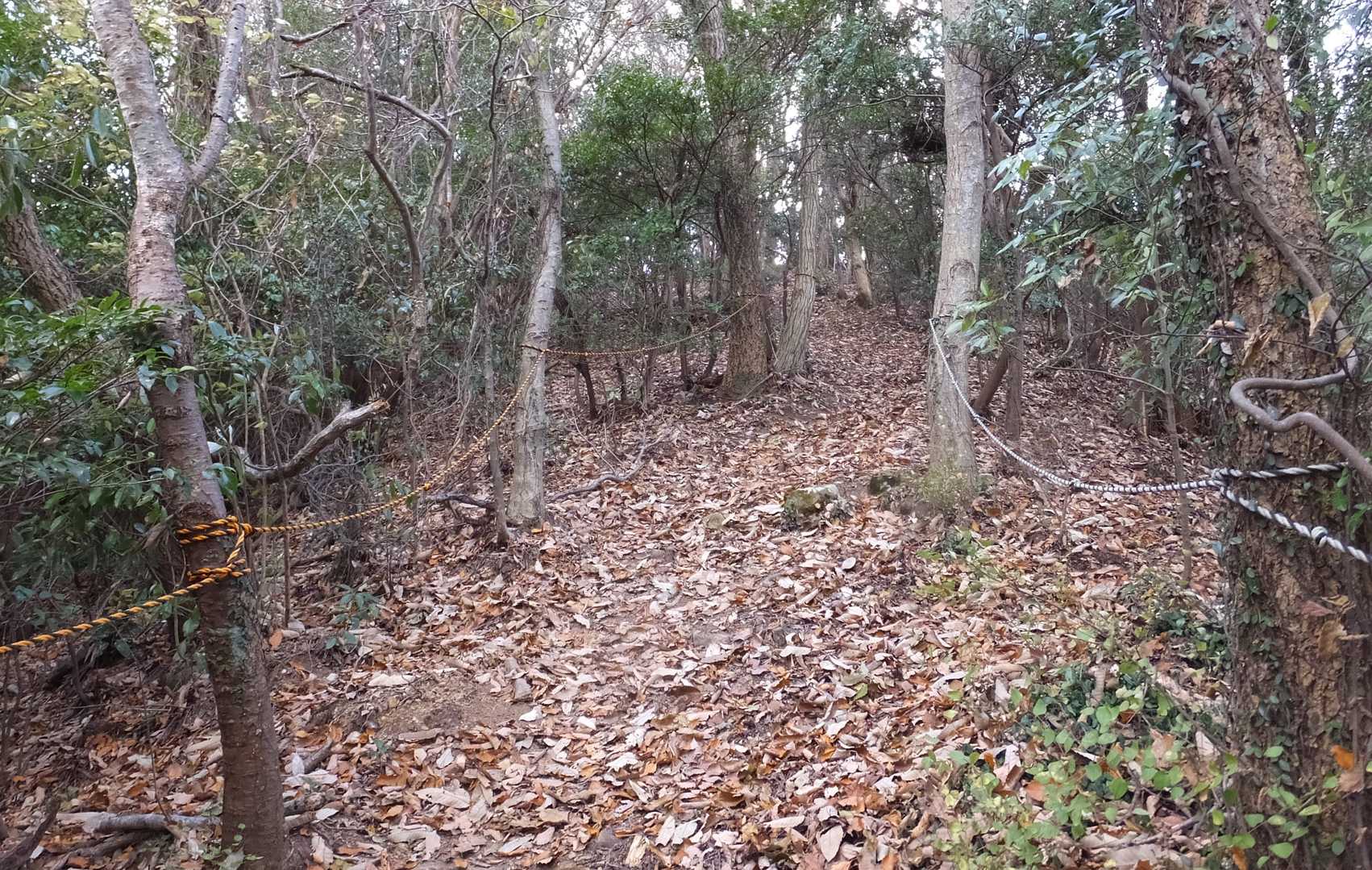 最後の急登
　写真では水平にみえますが。。落ち葉でとても滑りやすく要注意です。