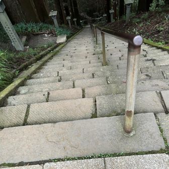 実際下る時暗く、手すりを掴んで下りました
