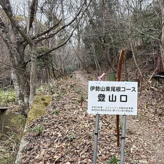 振り向いて
ありがとうございました🙇‍♀️