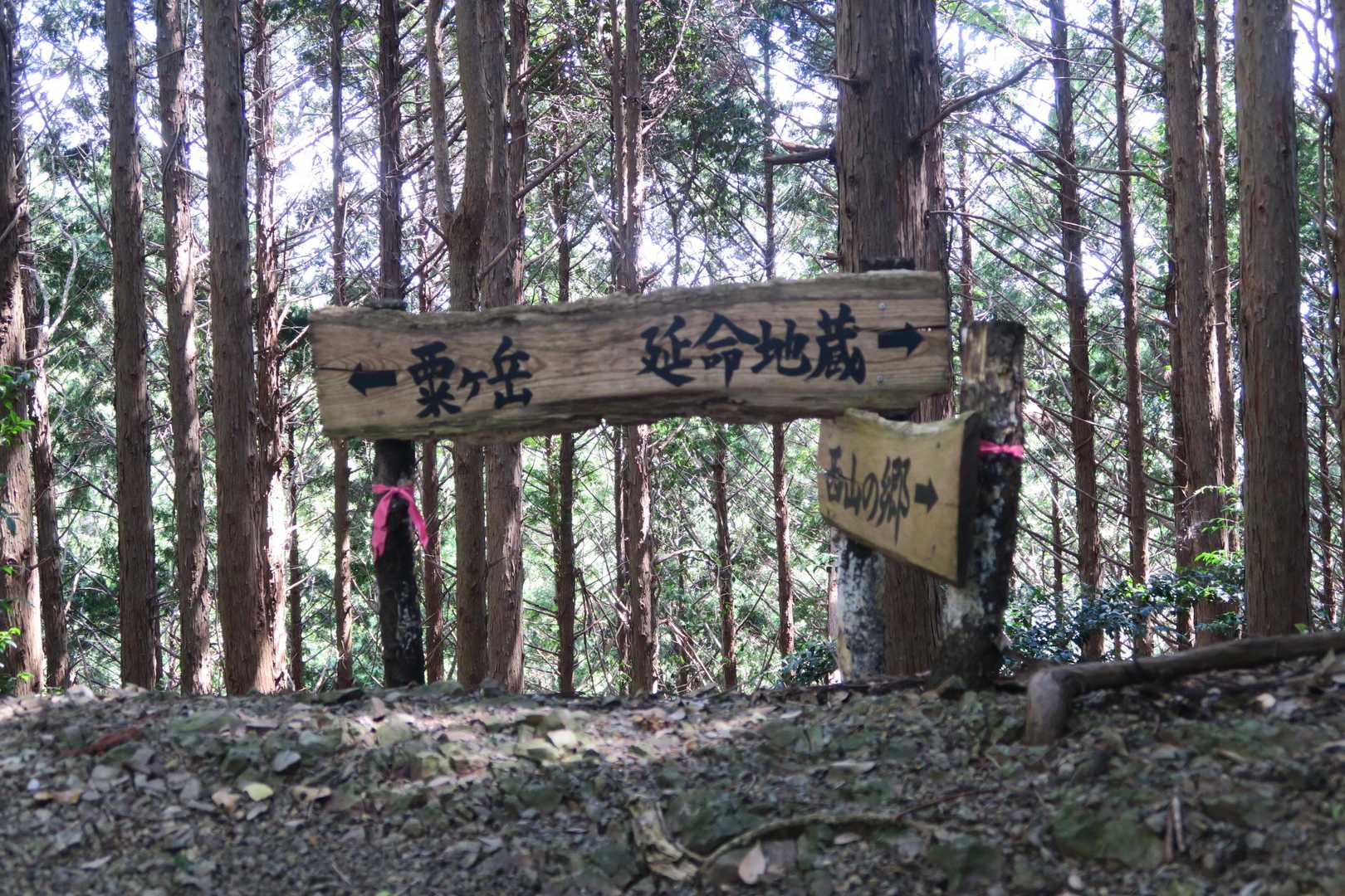 今日は左に進む

病で重篤な状態になったら右に進む
（※年寄りにはご利益無いみたいですが…😆）