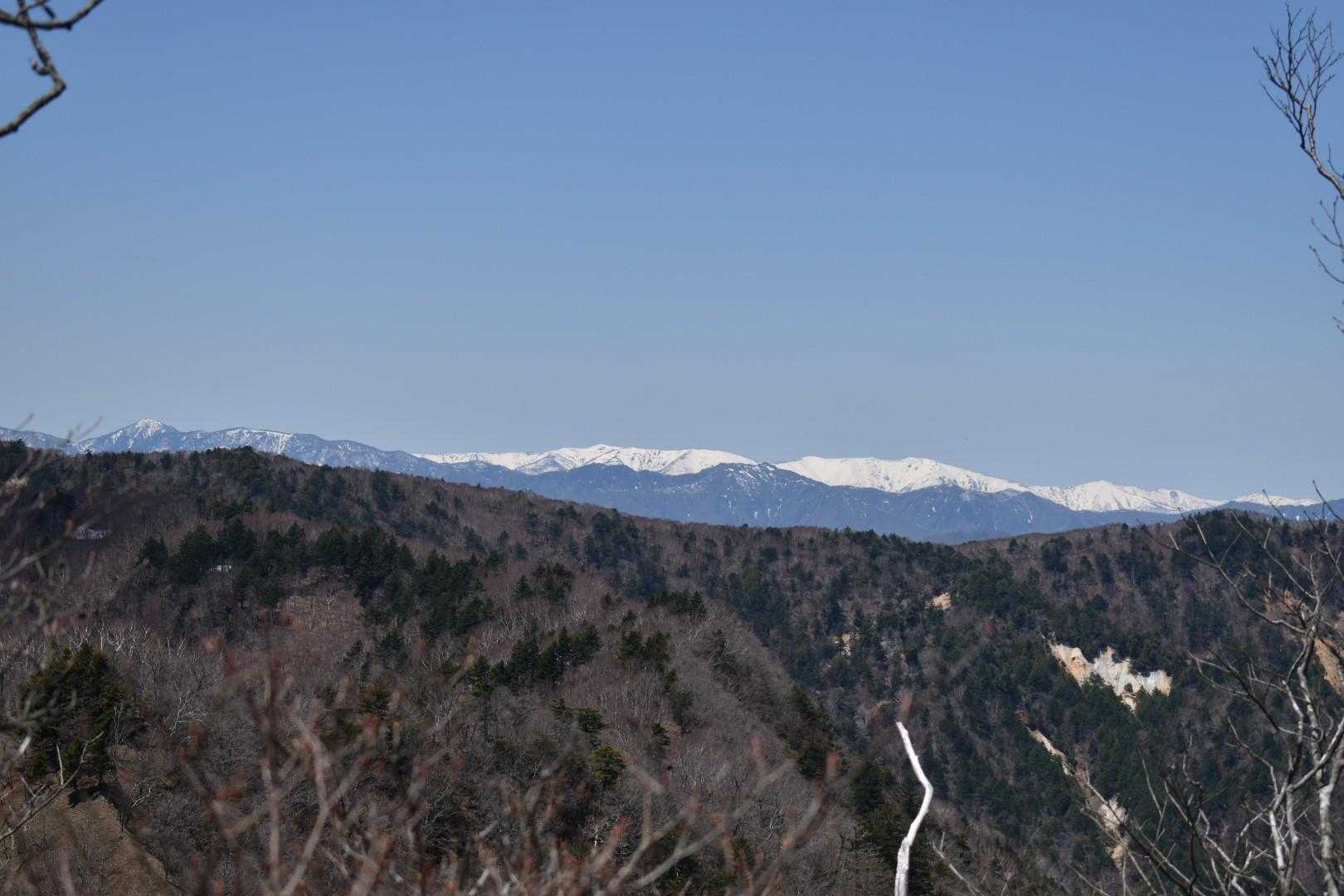 きゃー、真っ白😍
会駒さんです🤍❄🤍