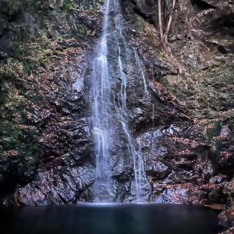払沢の滝　ちょっと来るのが早かったかな、辺りが真っ暗でした　