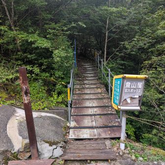 霧の中スタート