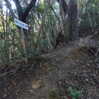 巻向山へ