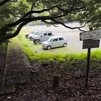 こっちまできてもよかったなぁ🚙