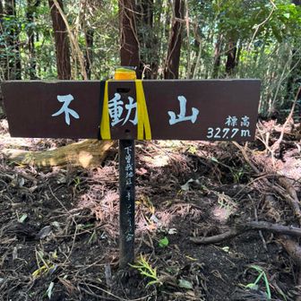 不動山。虫も多い
