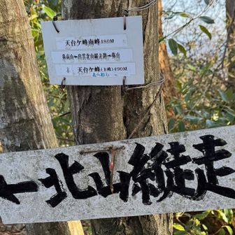 天台ヶ峰南峯480m