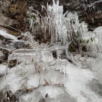 シャンデリアみたいな🧊