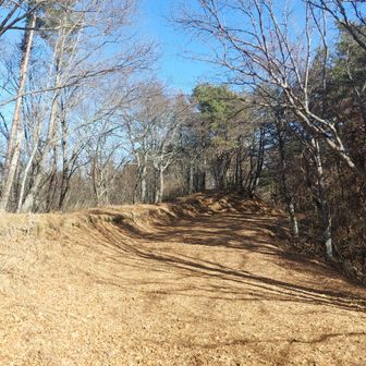 広場！と思ったら林道でした。
林道を歩いていると山頂にたどり着けないので左の登山道を歩きます