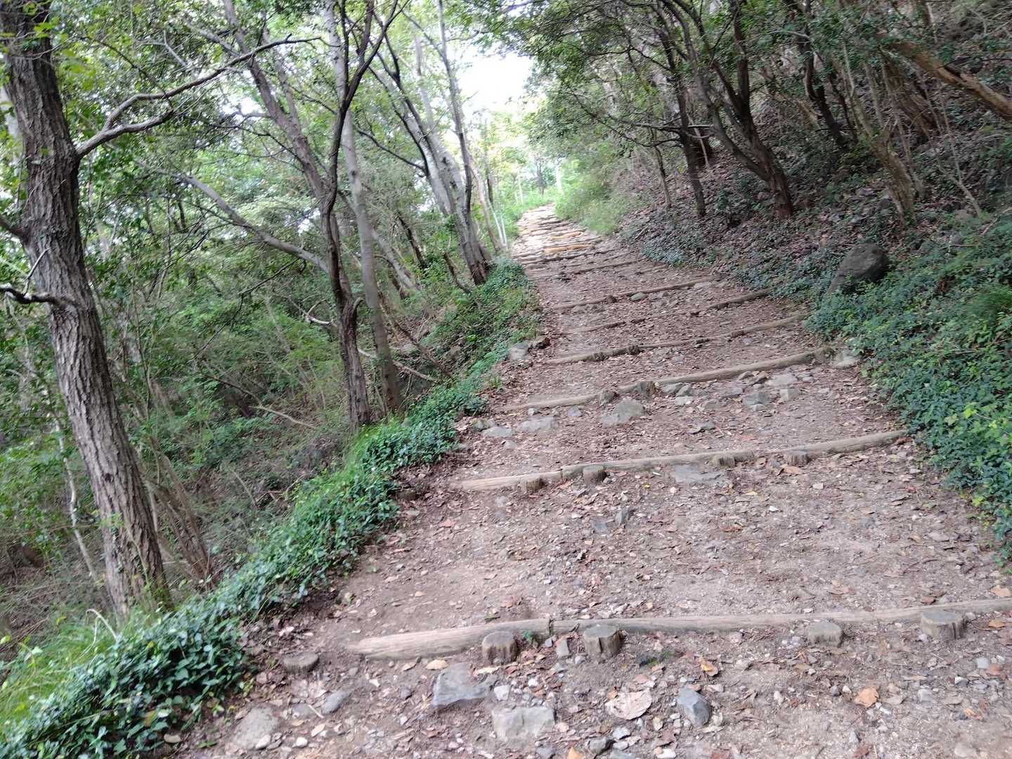 階段地獄ではなく土砂の流れ止め