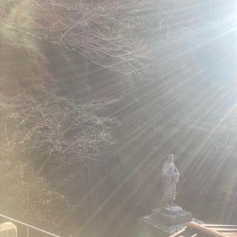 写真撮ると相変わらず神々しいなってしまう、お万の方と後ろの滝