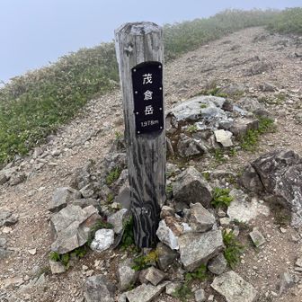 茂倉岳に着いたー🙌

本当ならここから蓬峠方面に行く所ですが、すでにバテバテ…

視界も望めないので馬蹄形🐴はまた今度ね

と言うことで、予定変更で茂倉避難小屋へ向かいます