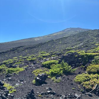 高山病にならないようにとゆっくり登ってたけど