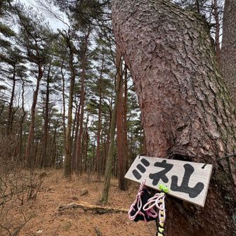 ほどなくして、ミネ山🙌