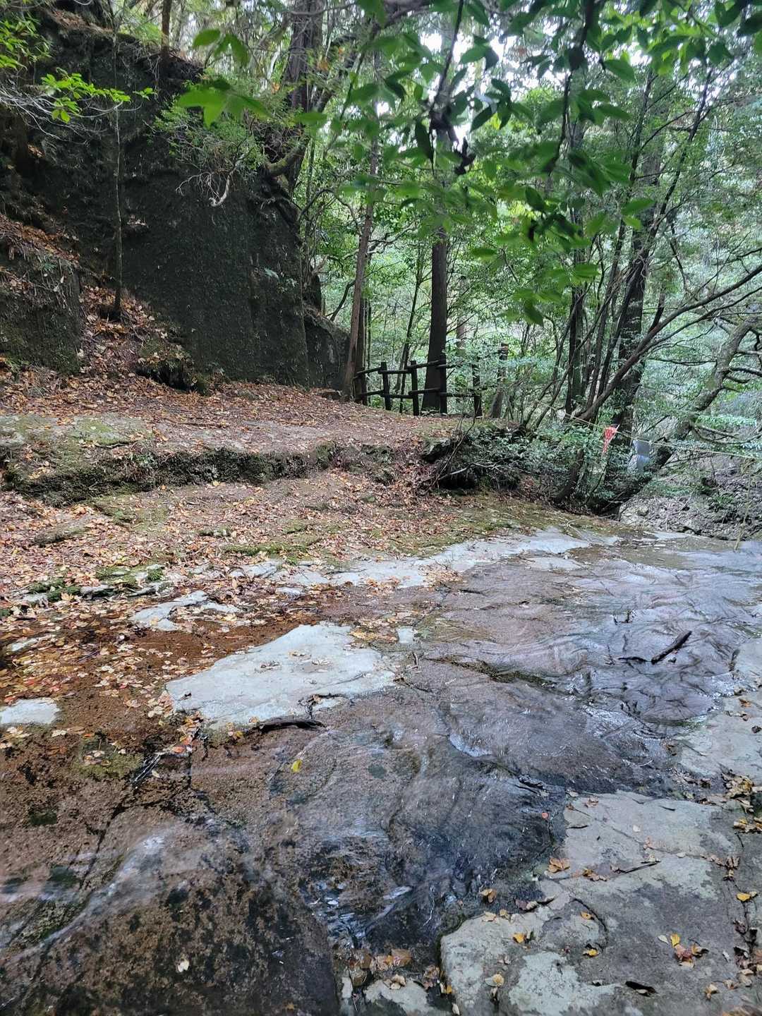 一族山-一族山登山口 周回コースの写真