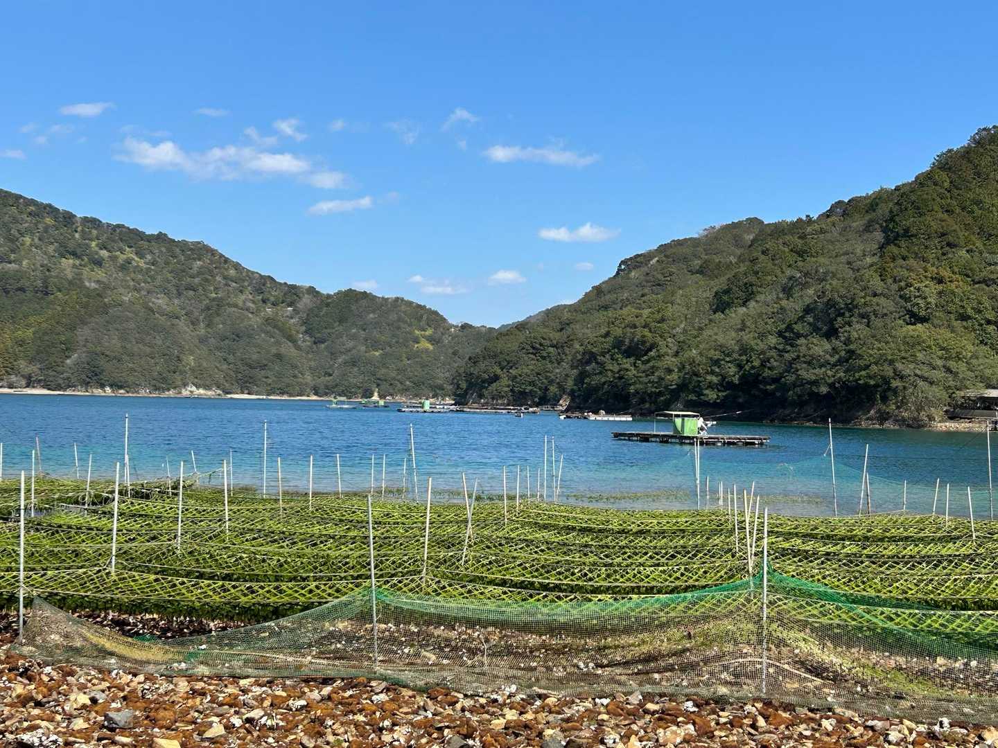 たまご浜到着🥚
あおさ養殖と釣りのいかだ
座佐浜は何も無かったけど、たまご浜は色々ある