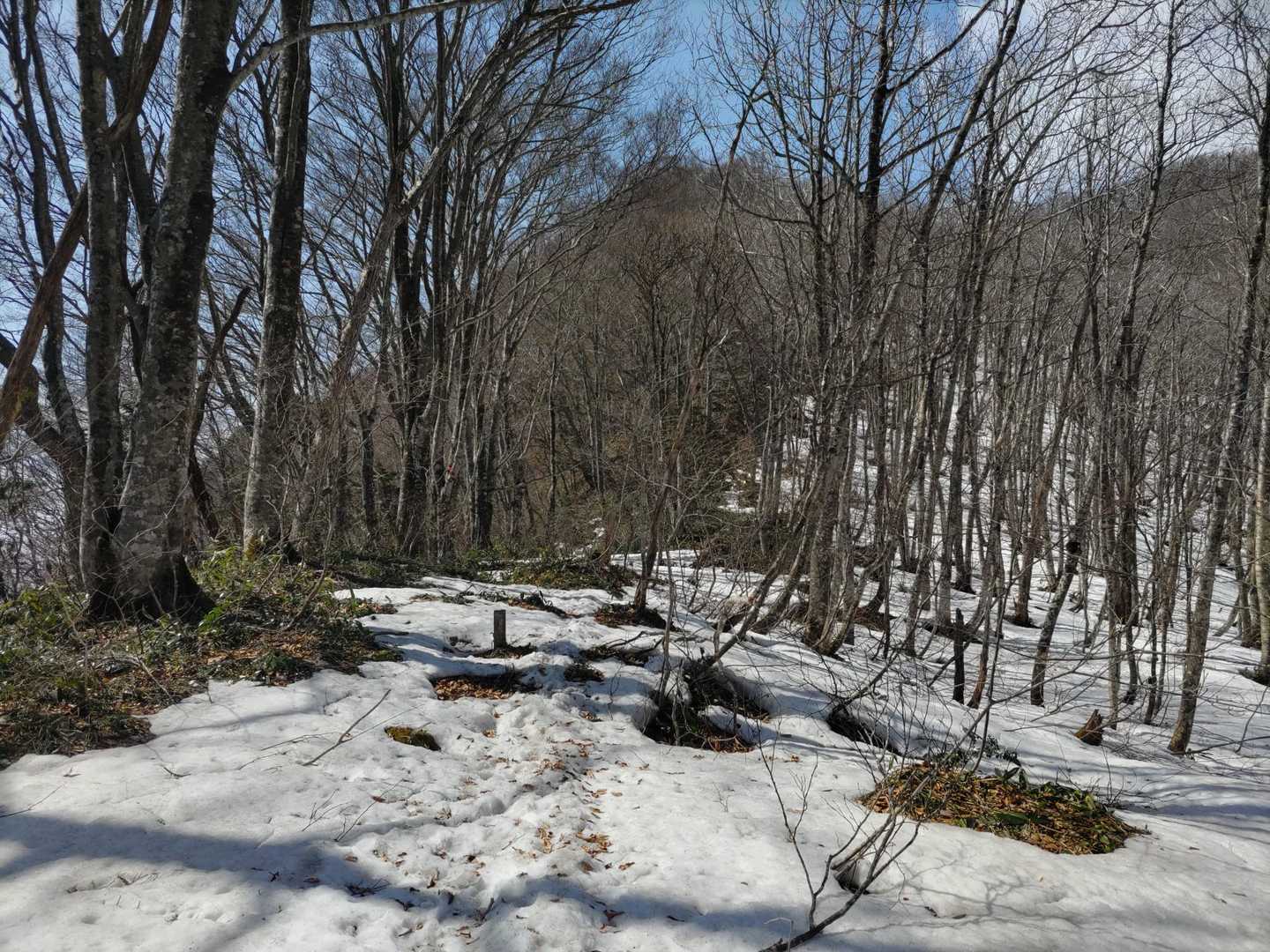 七合目過ぎたら雪が残ってました