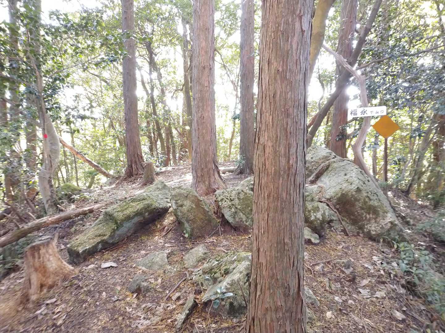 入口の道を見失う