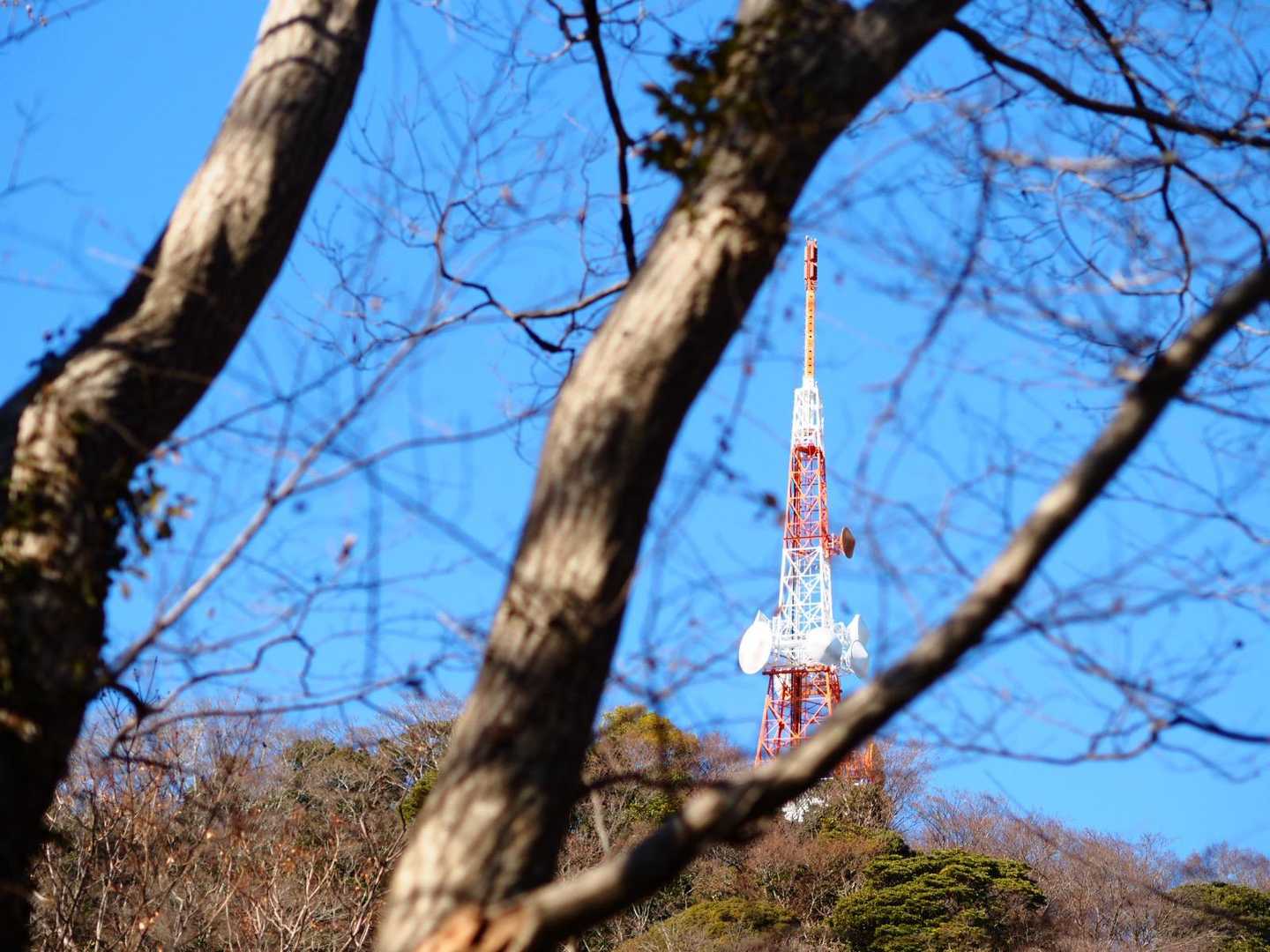 テレビ🗼塔みえてきた。
