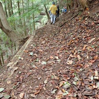 落ち葉の散り始めた登山道をてくてく歩いて、無事下山しました☺️

脚の不安がありましたが、皆さんのスピードになんとかついて歩けてよかったです👍

皆さん、本当にお疲れさまでした🙇