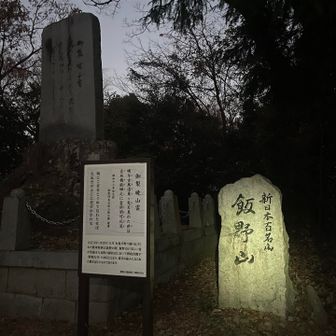 はい、山頂！
飯野山(別名、讃岐富士)
新日本百名山に選定されている💯