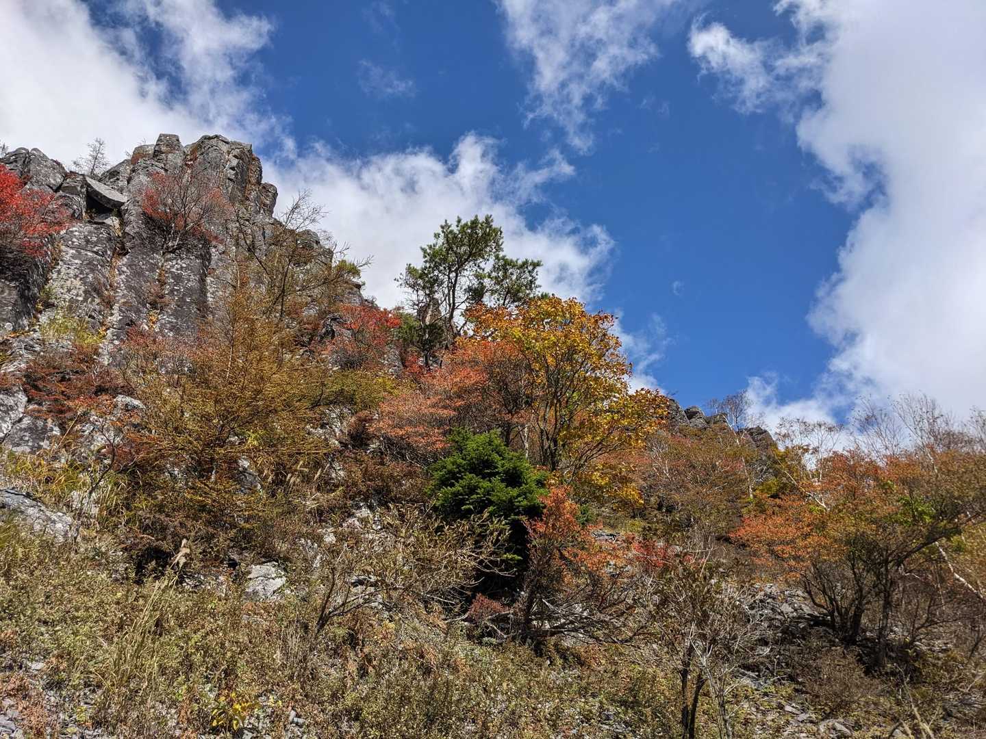 桜清水登山口-王ヶ鼻-美ヶ原 周回コースの写真