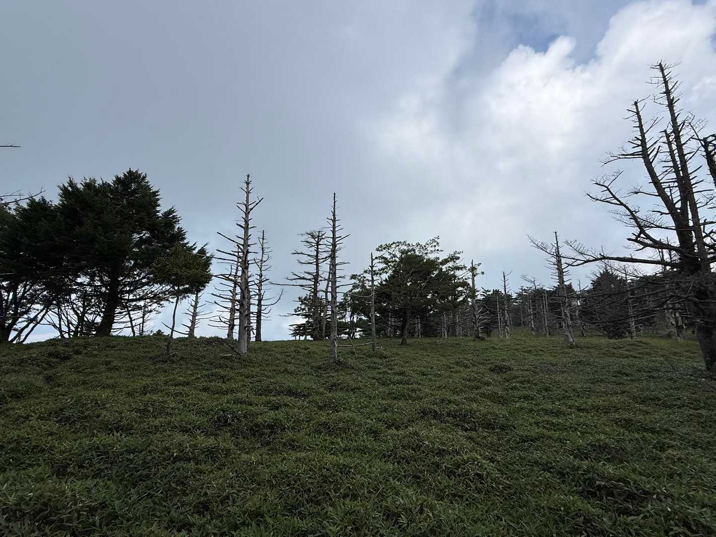 ここの雰囲気すき😊