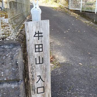 下りは✨ゆるやかな😃戸坂方面