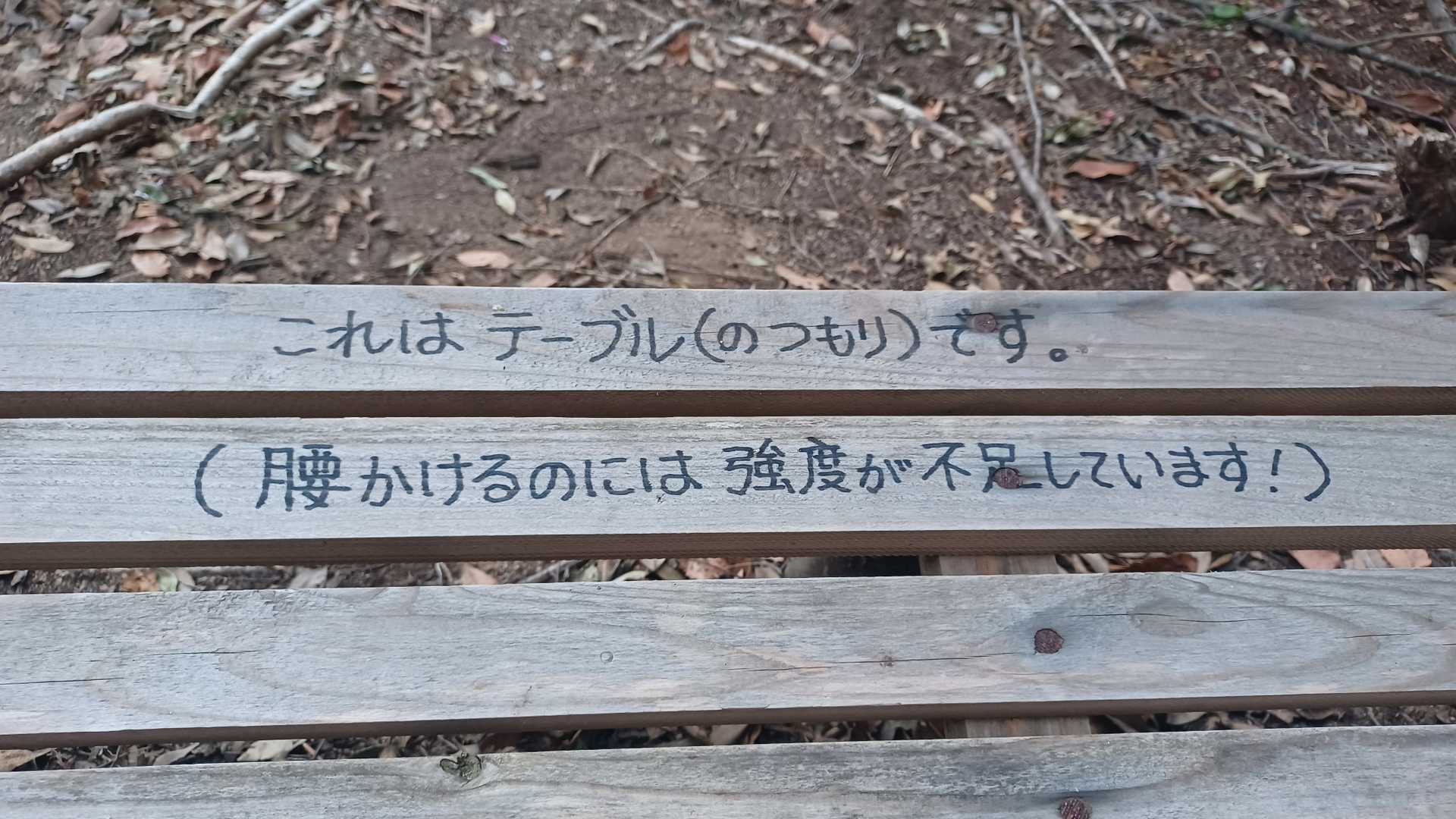 あら､すわっちゃダメなのね😅
生憎と荷物を持ってきてない😁