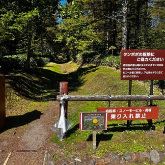 折り返し