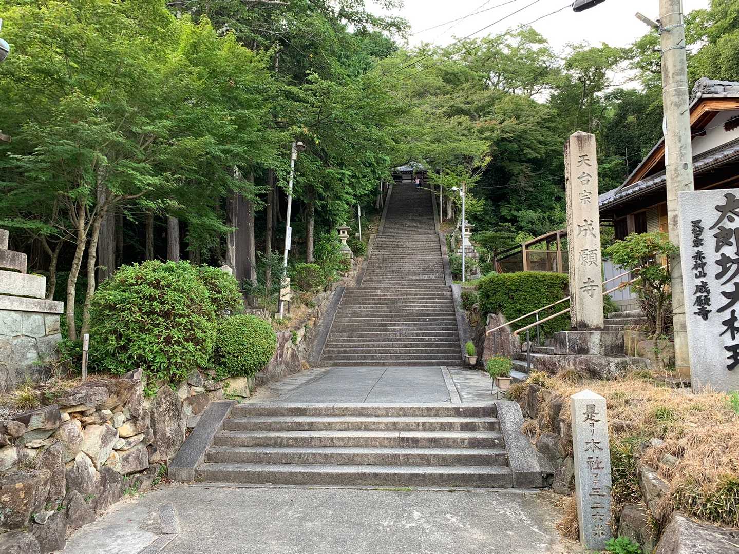 今回も行きますよ