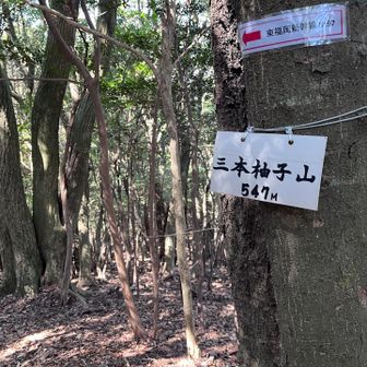 三本柚子山