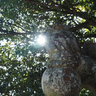 ちょうど狛犬が光線を発射する前だった