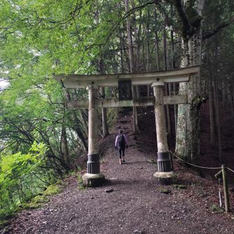 ⛩️✨️
東屋あります🪑