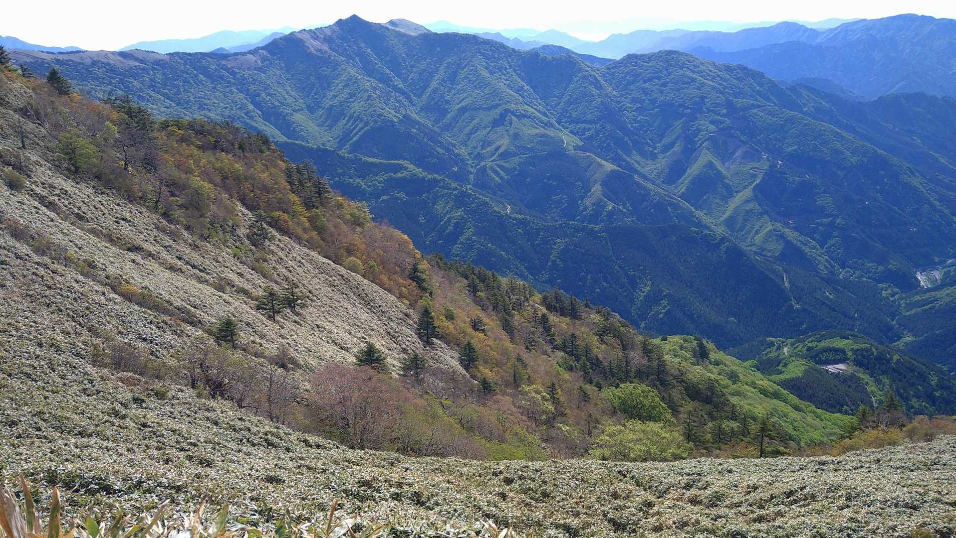 旧寒風山トンネル南口-桑瀬峠-寒風山-笹ヶ峰-笹ヶ峰南登山 縦走コースの写真