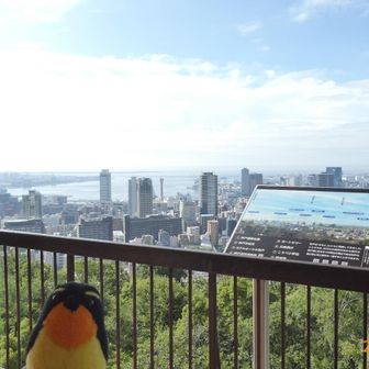 思いの外に晴れて、暑いです☀️