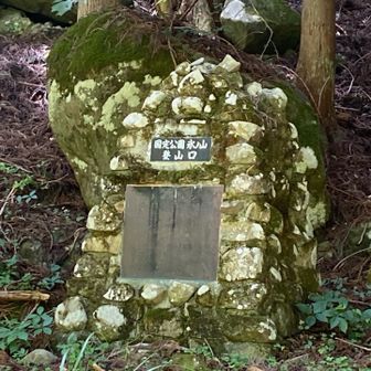 下山です。ここからまたロードですけど〜