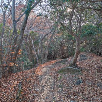 更に奥へ行きます