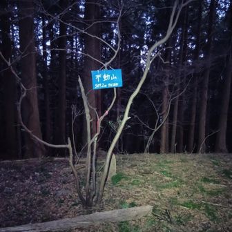 最後のピークでちょうど日没。