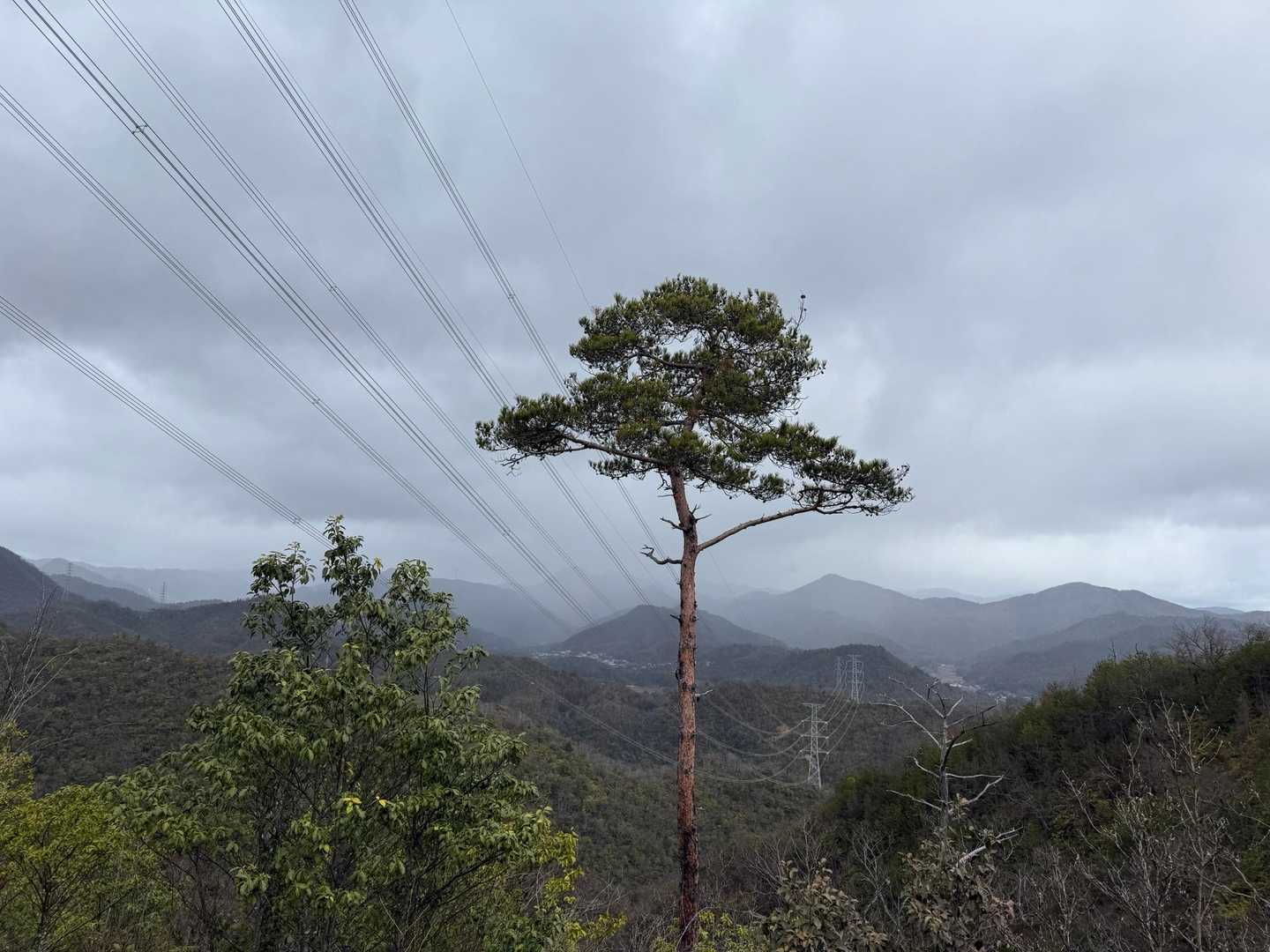 まだ雨降ってます😓