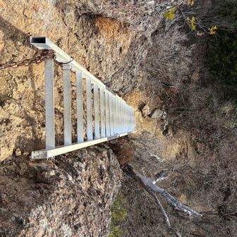 このハシゴ、ほぼ垂直では⁈