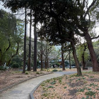 さあ、残るは23区最高峰⛰️