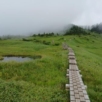 ガスが晴れてきた？