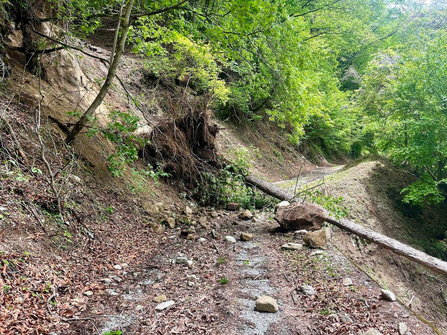 虹川登山口手前🌲……🚗🙅🏻‍♂️。

南木曽岳登山口から、65km、1時間30分。虹川登山口には辿り着けず…..手前の路肩スペースに。