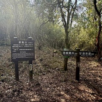 屏風山 標高948m🥰