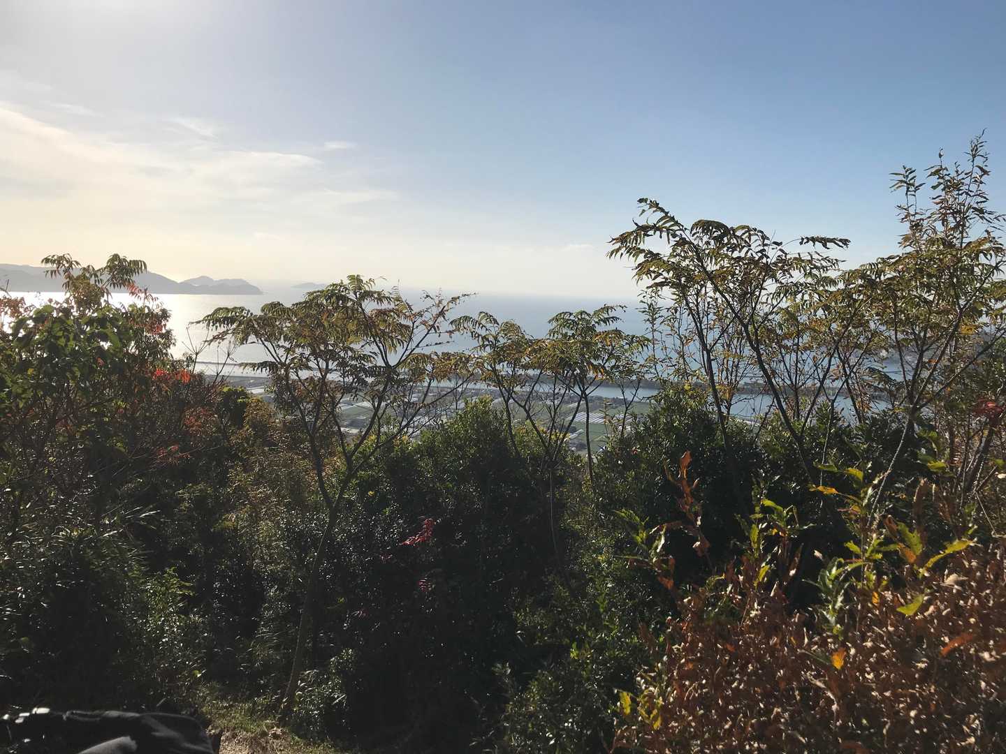 名草山 往復コースの写真