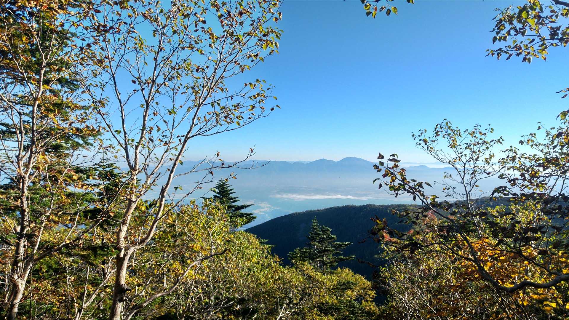 秋の気配